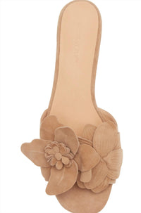 Chocolat Blu - Women's Baja Sandal