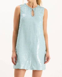 Tyler Boe - Paulina Paillettes Dress