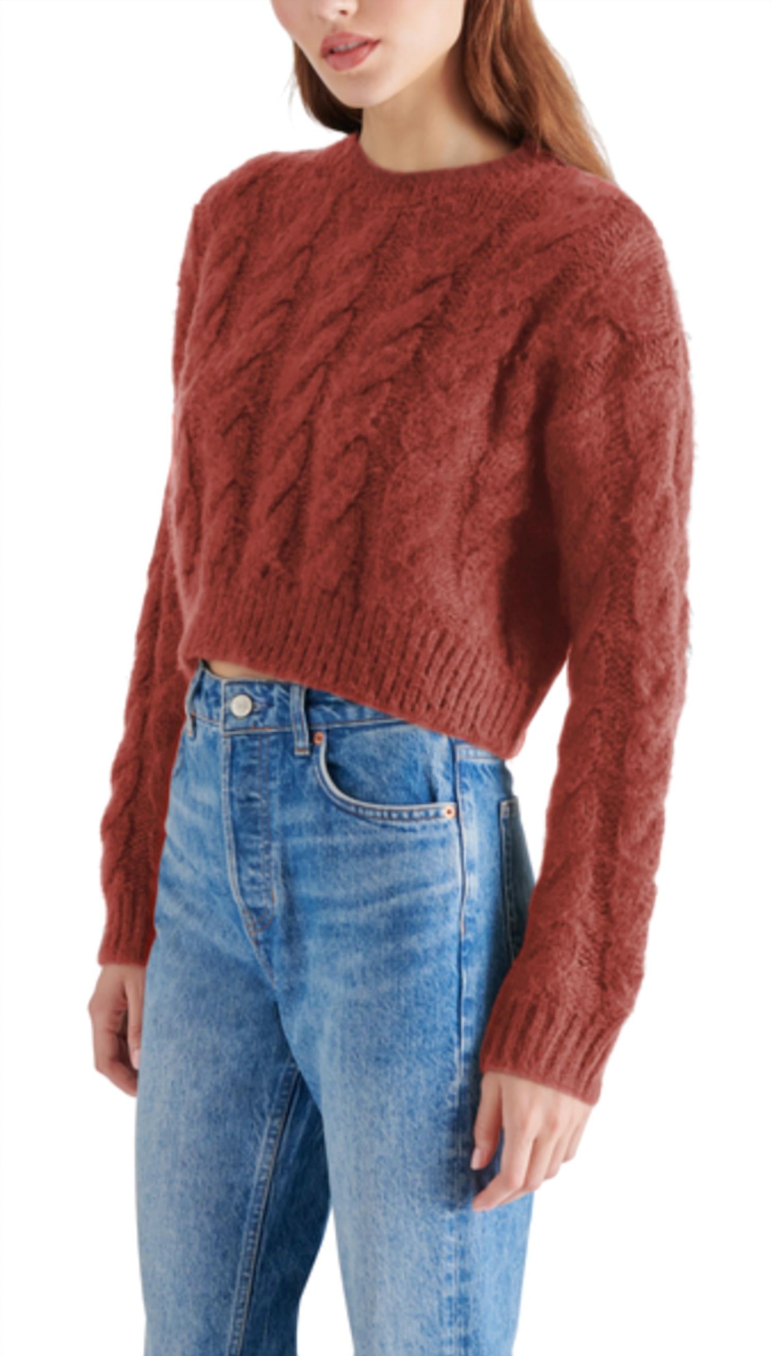 STEVE MADDEN Ceronne Crewneck Sweater in baked apple - women's sweater - alternate view
