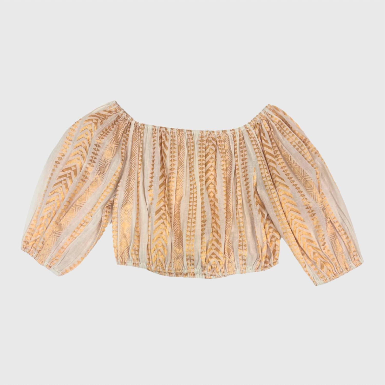 Paani - Women's Embroidered Crop Top
