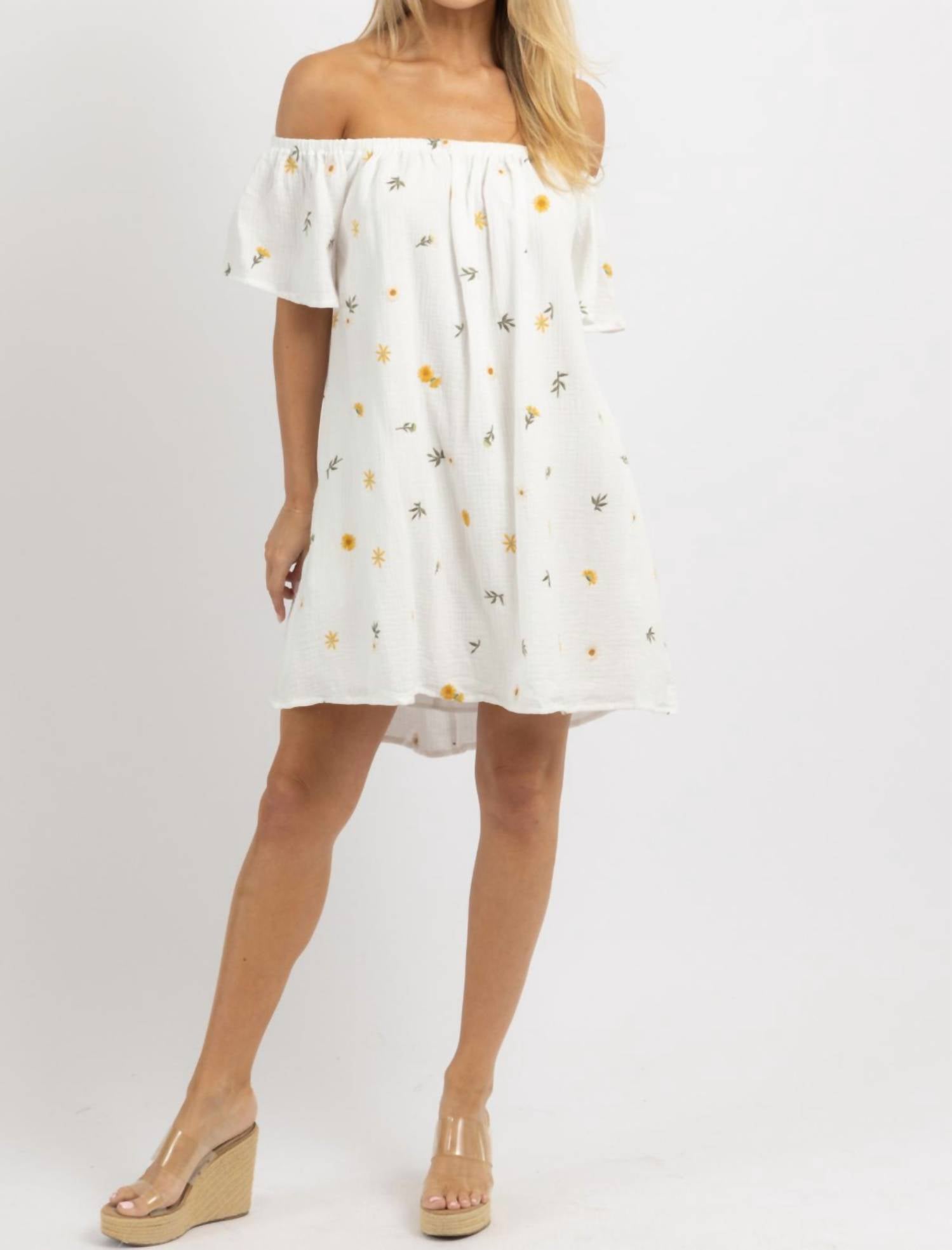 In February - May Embroidered Mini Dress