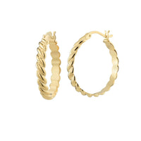 Gold & Honey - Women's Twist Hoop Earrings