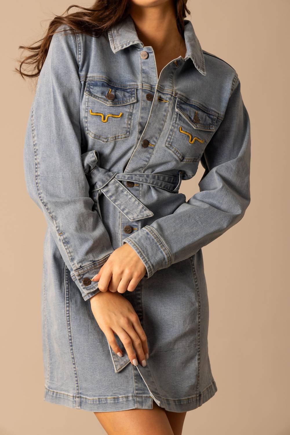 Kimes Ranch - Winslow Trucker Dress