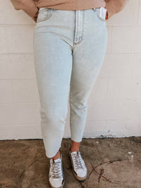 Dear John Denim - Stella Lake Forest Slim Straight Leg Jeans