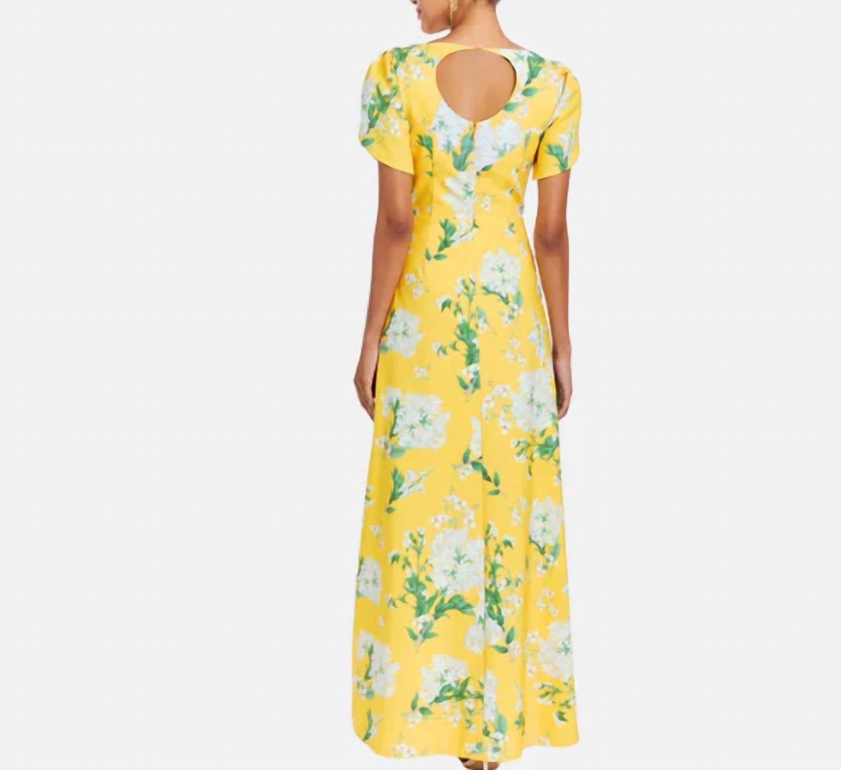 Mestiza New York - Katherine Flower Print Maxi Dress