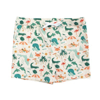Emerson And Friends - Explore Florida Boys Swim Trunks
