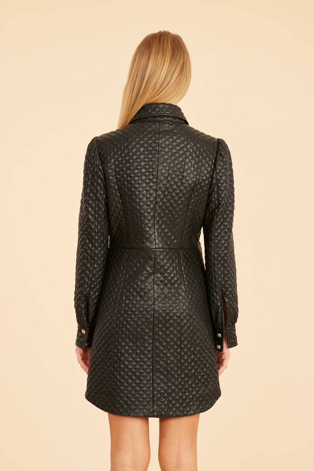 Dolce Cabo - Quilted Faux Leather Tailored Mini Dress