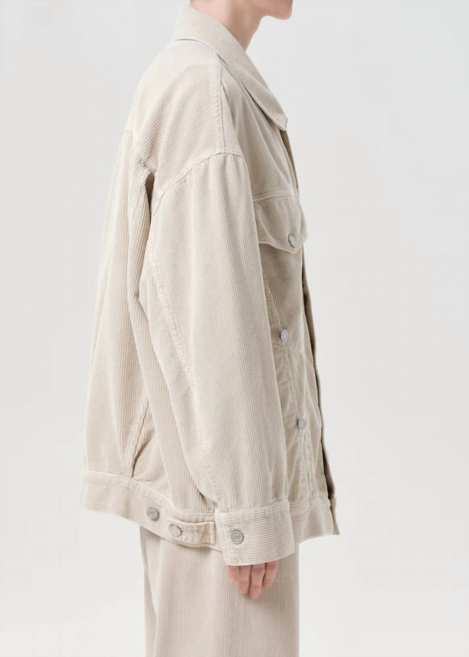 AGOLDE Reworked Wayne Jacket in rice grass - women's jacket - detail view