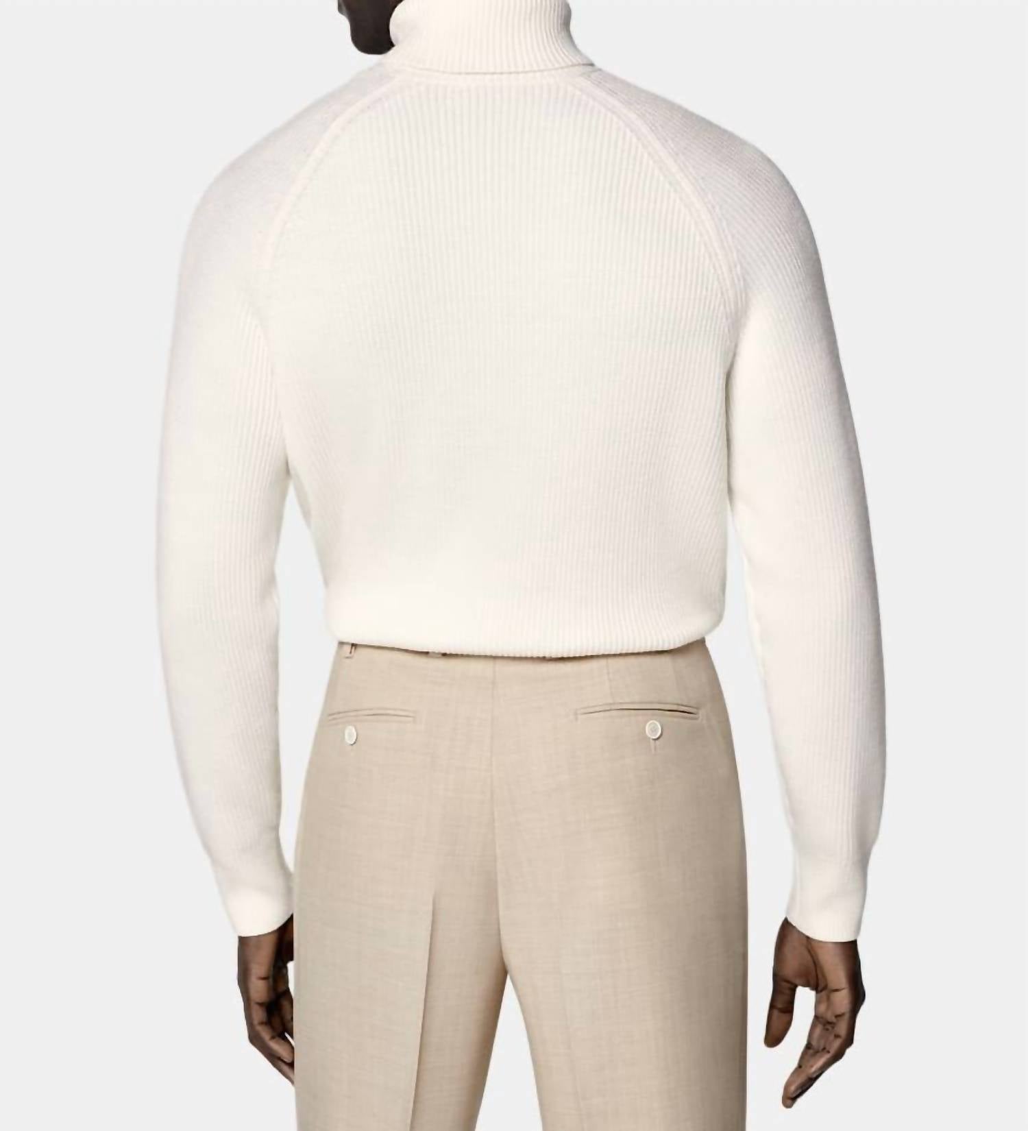 SUITSUPPLY Ribbed Merino Wool Turtleneck Sweater - Plus in off white - men's sweater - alternate view
