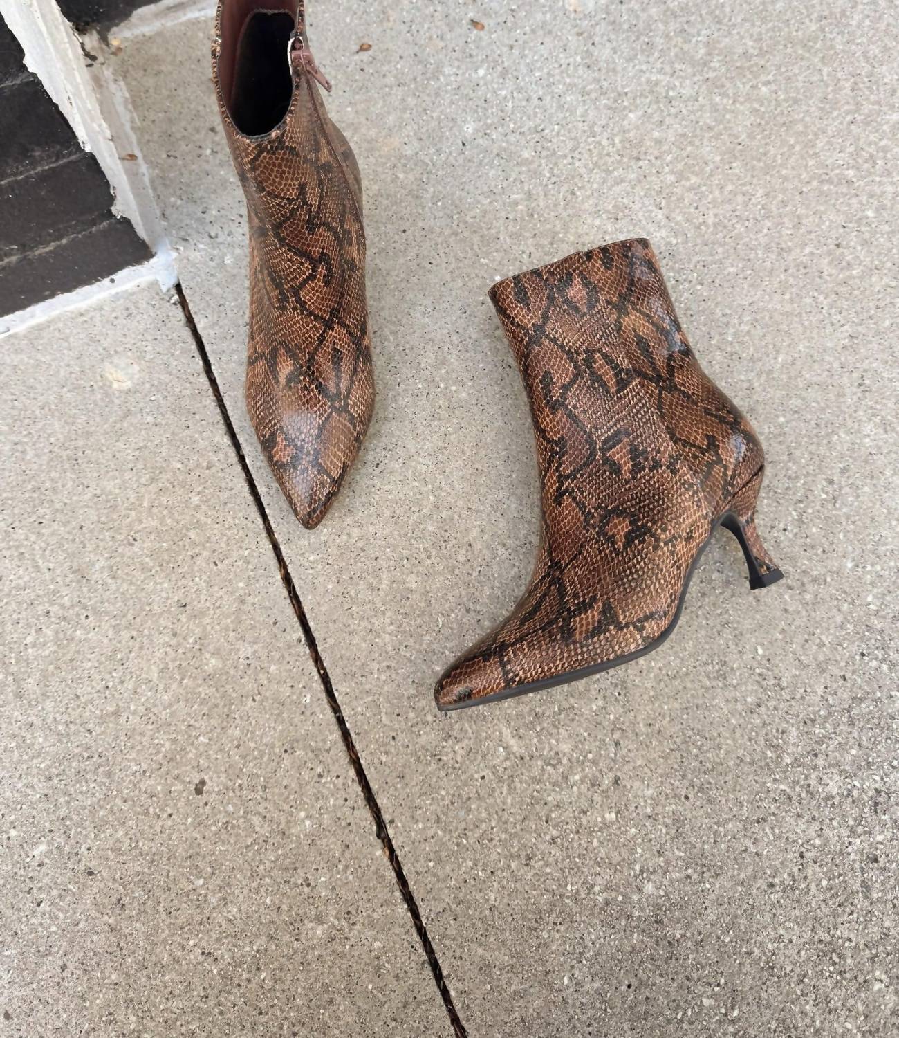 Mia Shoes - Women's Ediva Snake Pointed Toe Boot