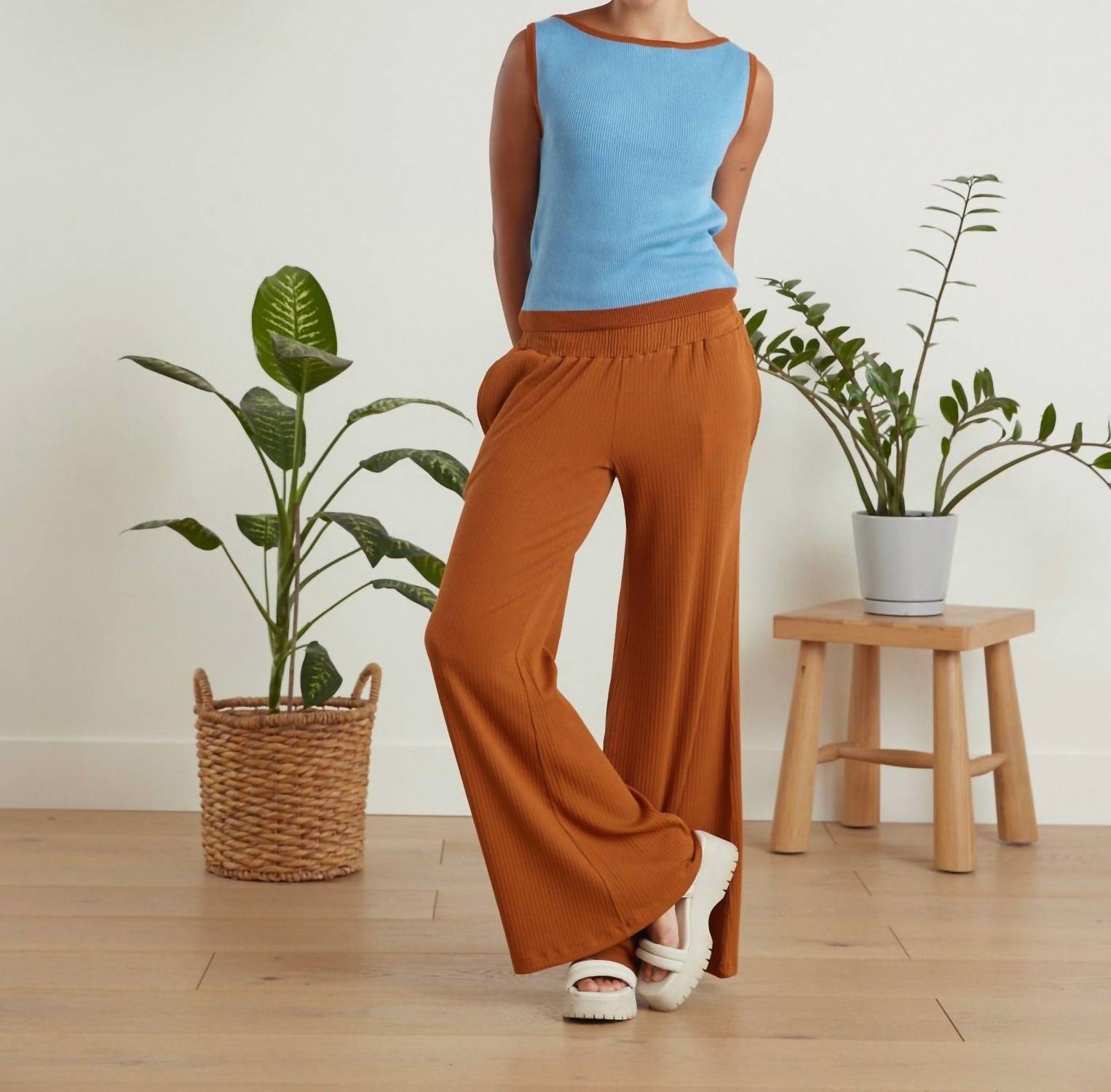Known Supply - Waldo Pant