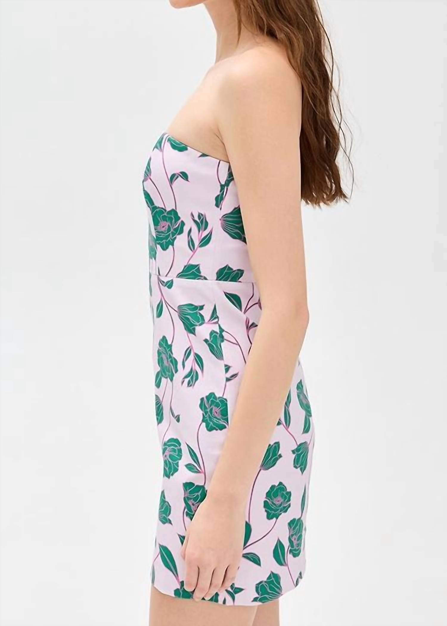 Favorite Daughter - Willow Mini Dress