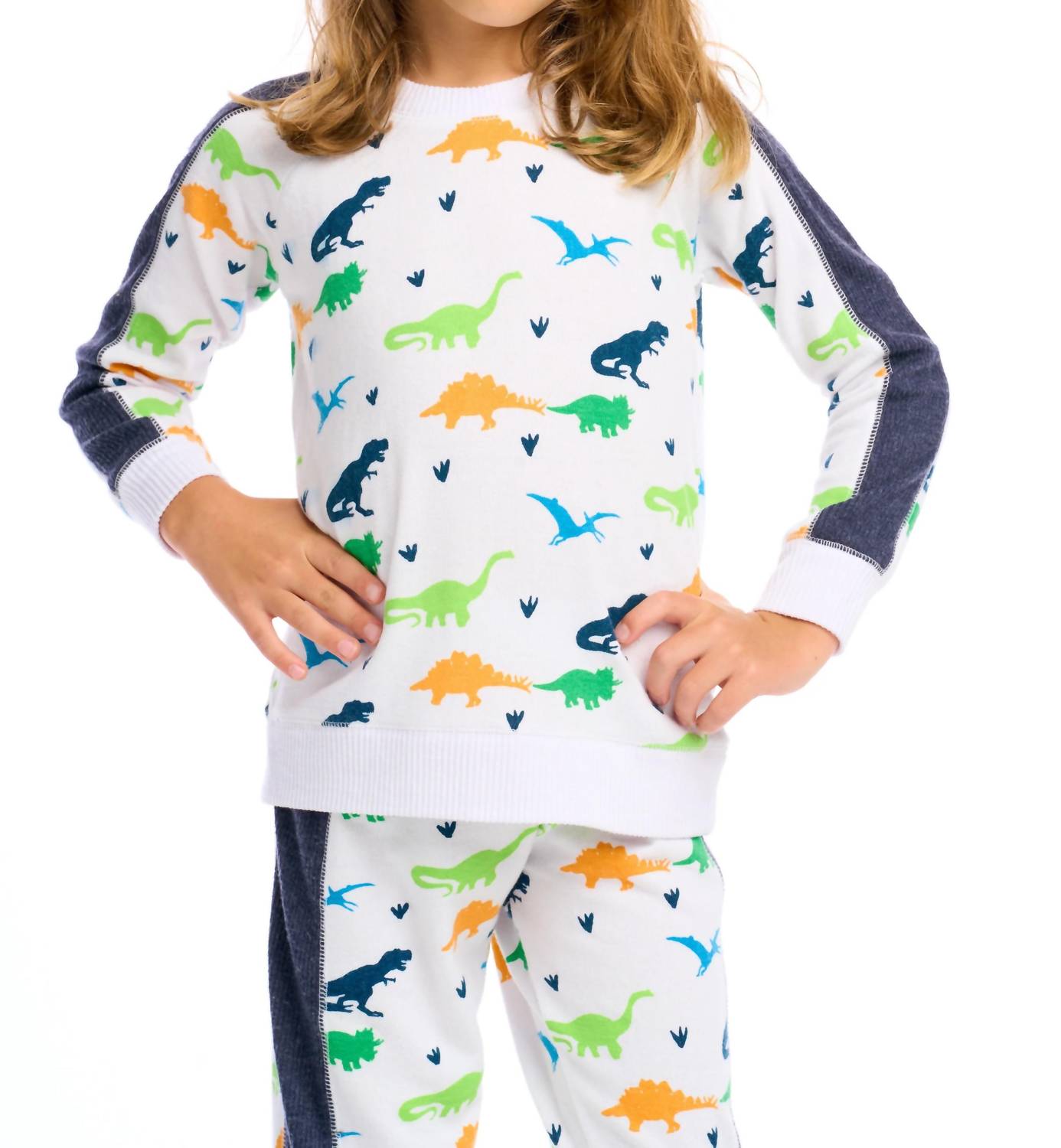 Chaser - Boy's Dino Pullover