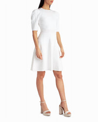 Nicole Miller - Jessie Pleated Shoulder A-Line Dress