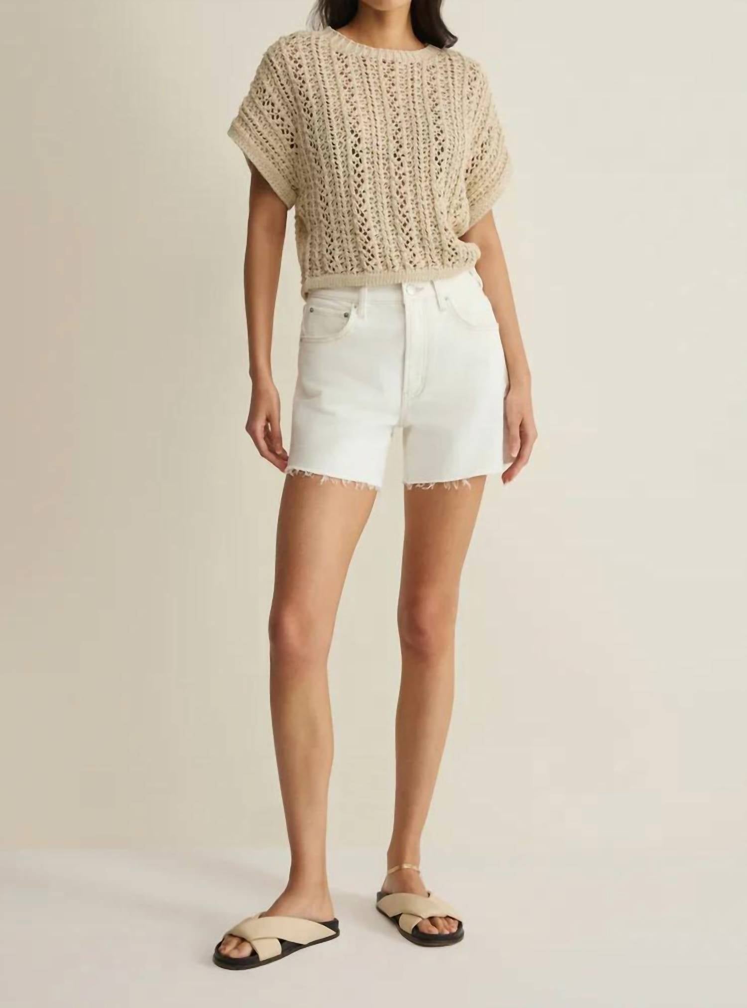 Z Supply - Ballast Crochet Sweater
