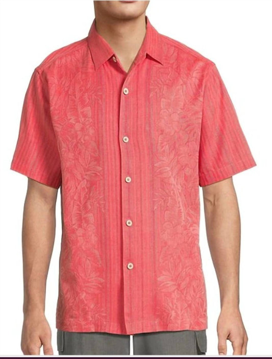 Tommy Bahama - maui border