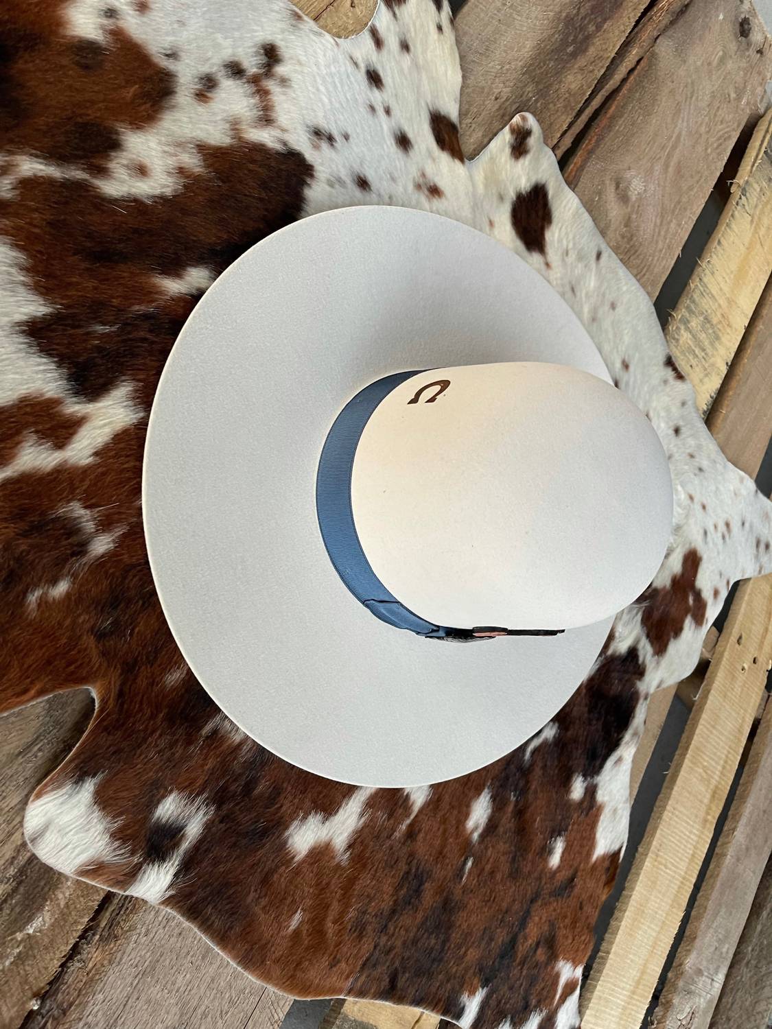 Charlie 1 Horse - Women's The Josephine Felt Hat