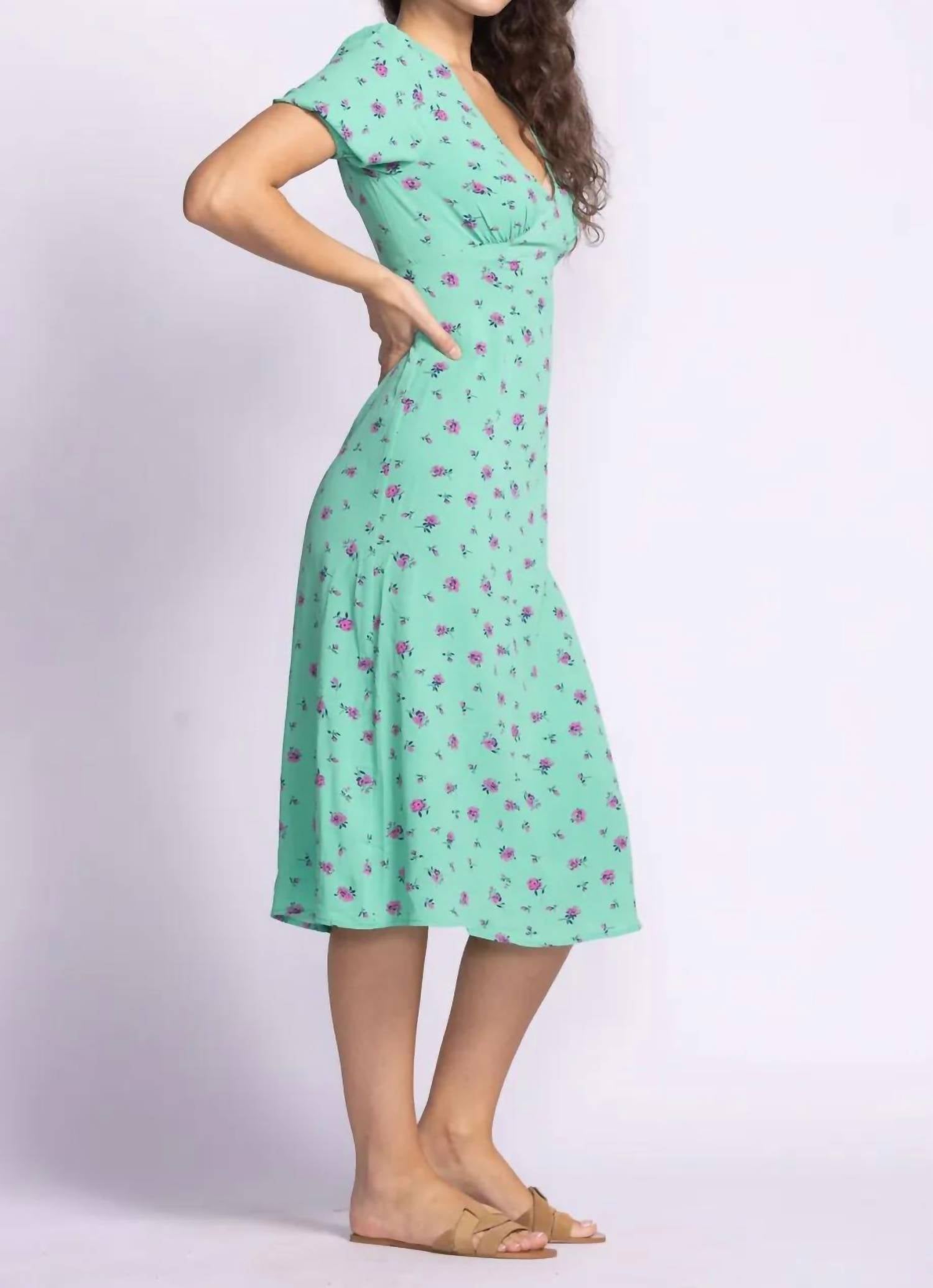Pink Martini - Eileen Dress