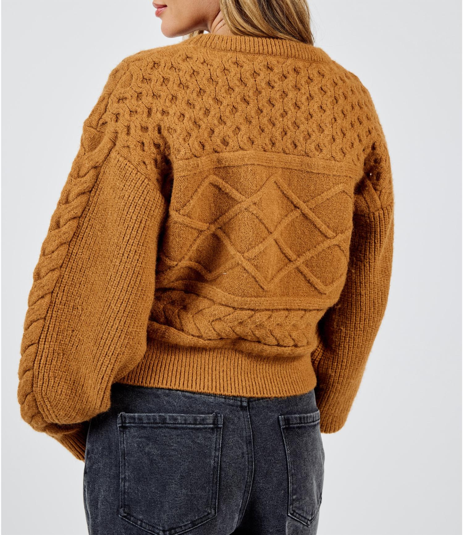 Sadie & Sage - Raised Knit Crewneck Sweater