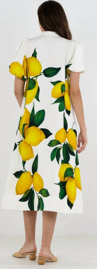 Emily Mccarthy - Hampton Dress
