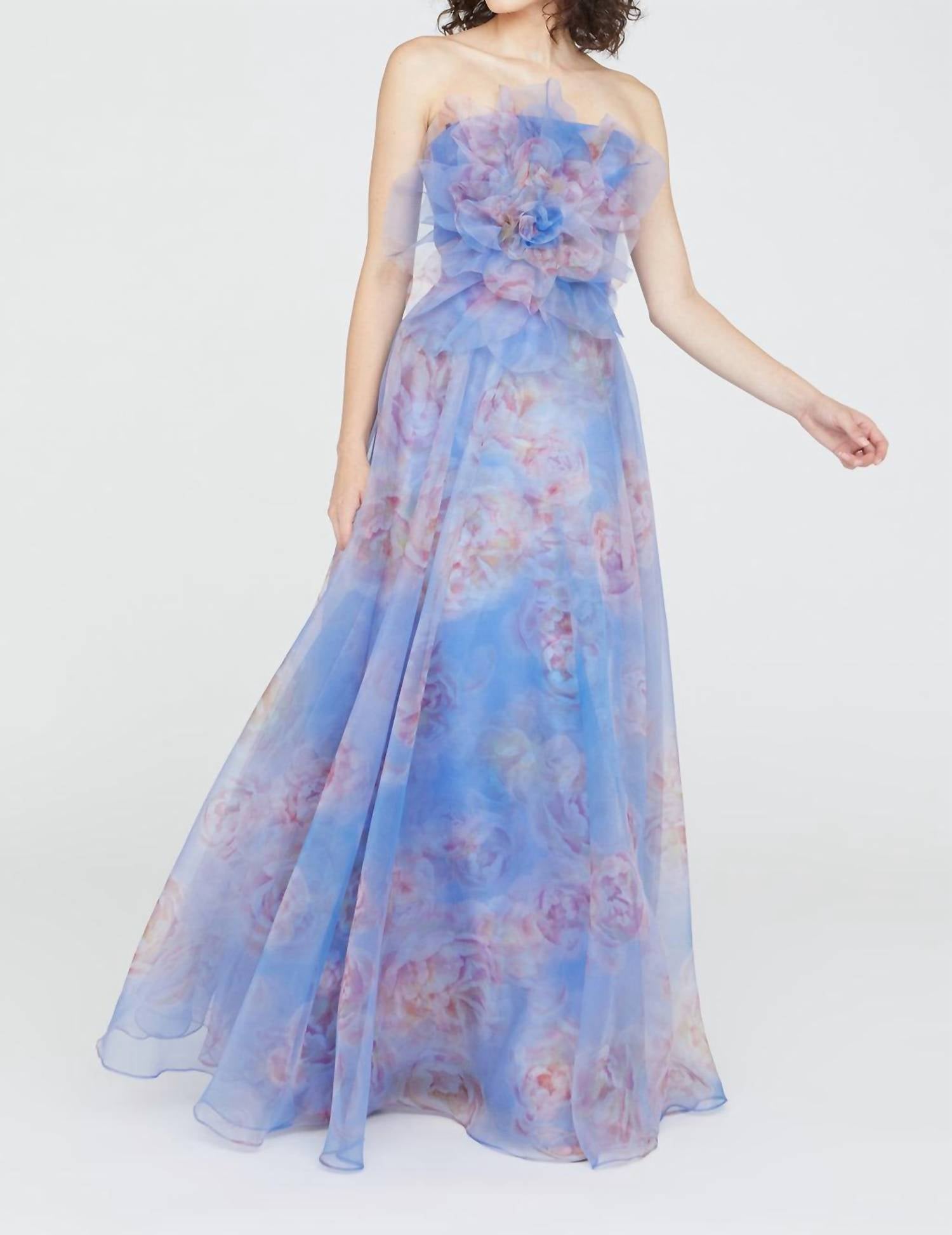 Theia - Kimberley Strapless Printed Organza Gown