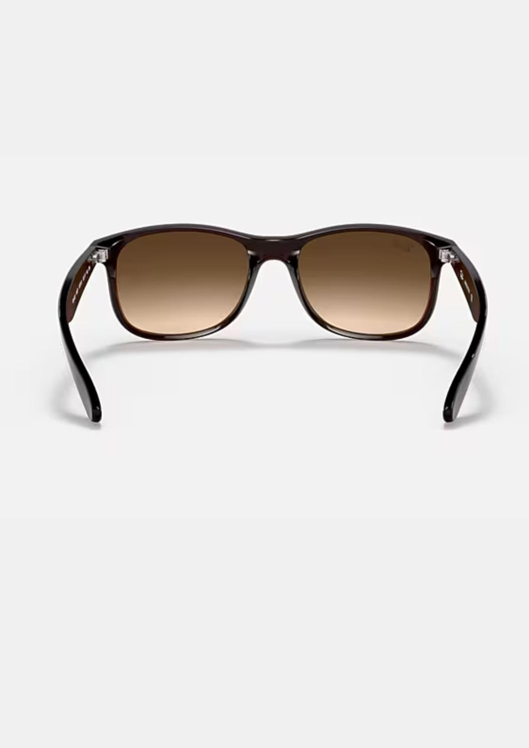 Ray Ban - Andy Rb4202 607313 Sunglasses