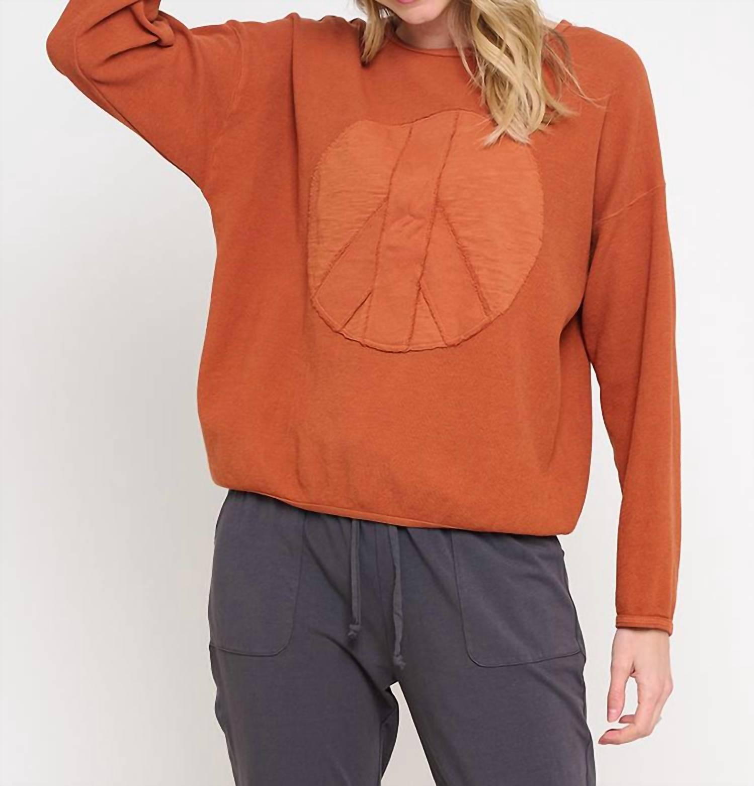 Cotton Lani Patch Star Sweatshirt in cedar - women's top