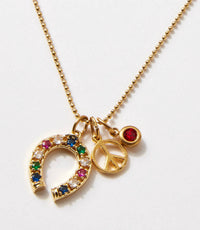 Farrah B Jewelry - Women's Charm Cluster Necklace