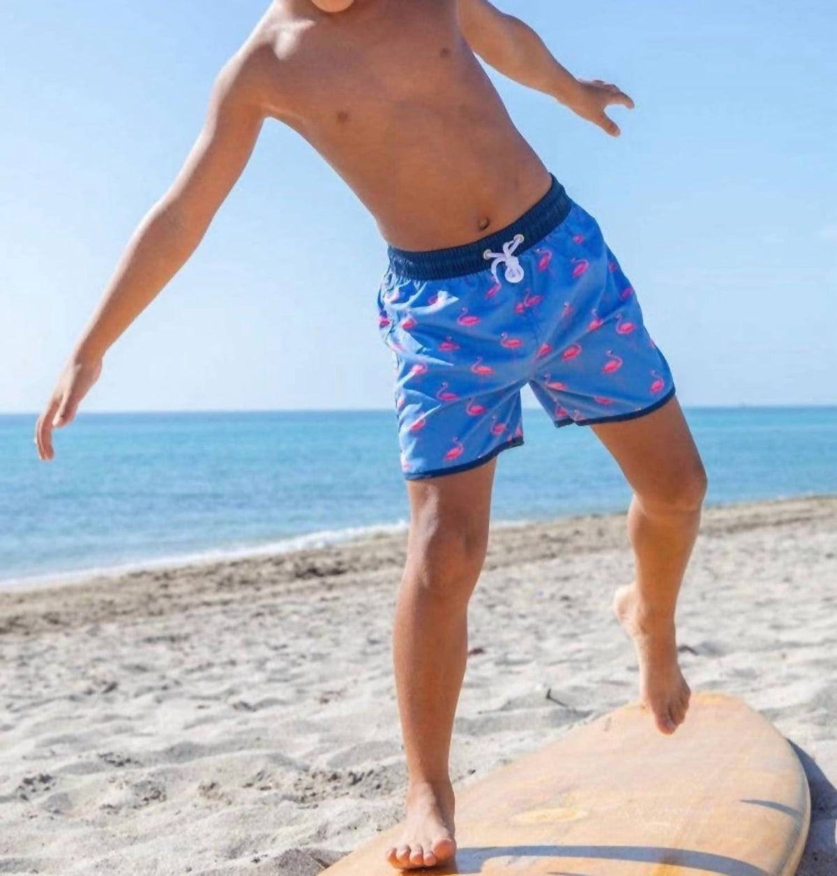 Blueberry Bay Swimwear - North Shore Trunks