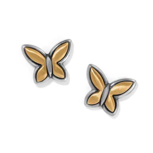 Brighton - Women's Goldie Wings Mini Post Earrings