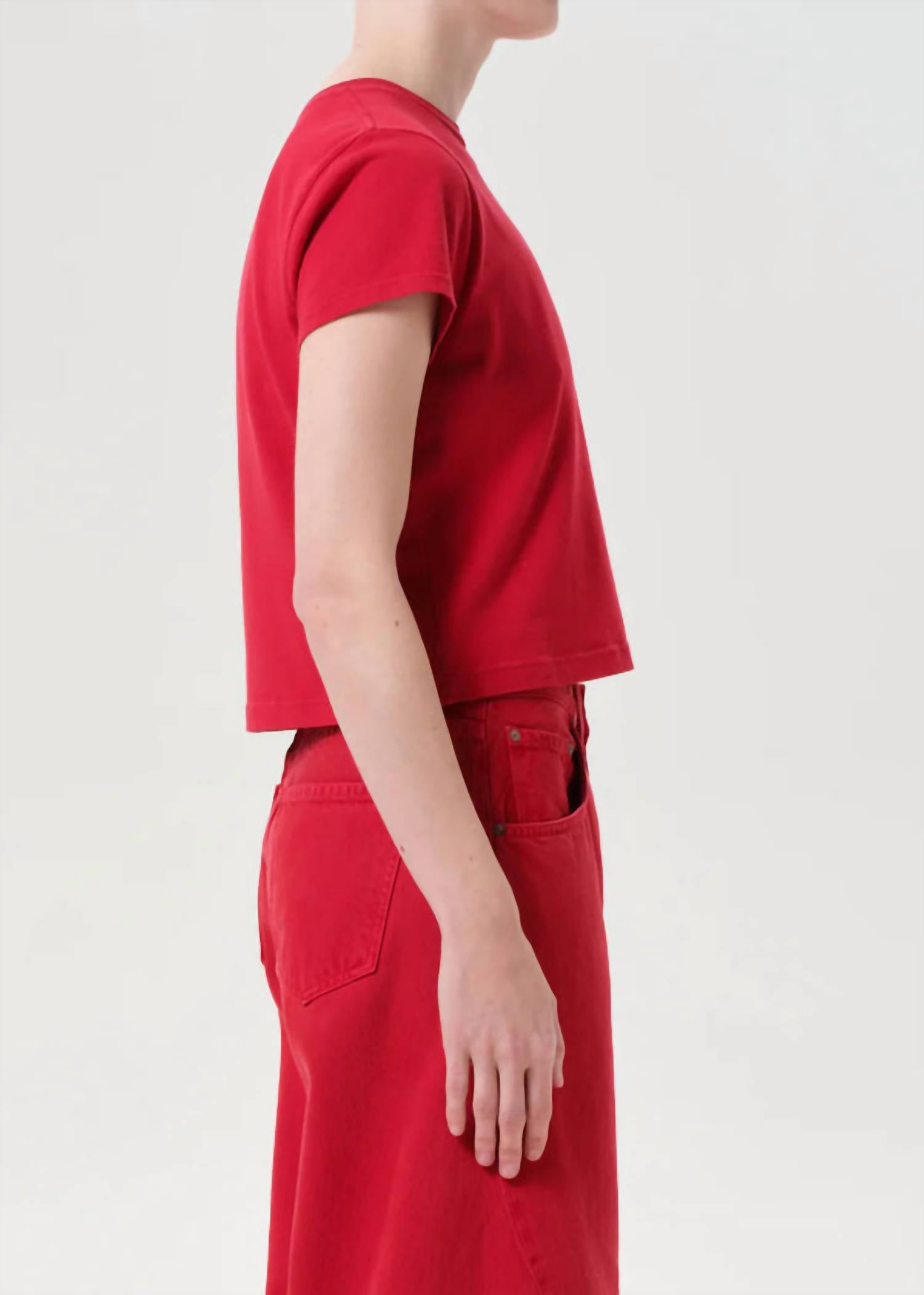 Agolde - Adine Shrunken Tee