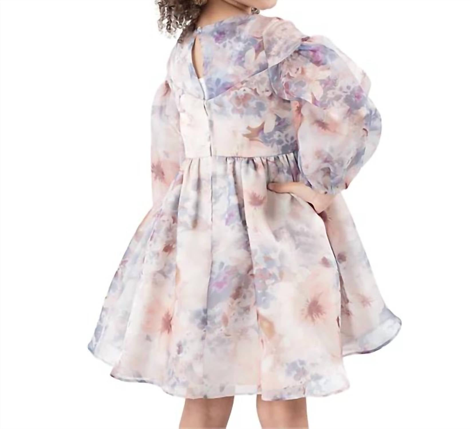 Rare Editions - Toddler & Little Girls Balloon Sleeve Floral Organza Dress