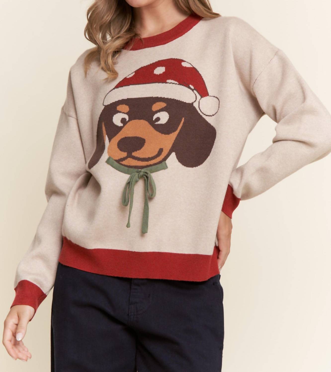 J.Nna - Dachshund Christmas Sweater