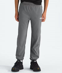 THE NORTH FACE Kid's Boys' On The Trail Pull-on Pants in smocked pearl - kids' joggers