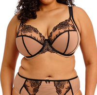 Elomi Teagan Underwired Plunge Bra in cafe au lait - women's intimate
