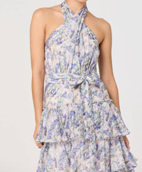 Astr - Adamaris Maxi Dress