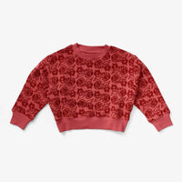 Lewis - Boy's Print Organic Cotton Sweatshirt