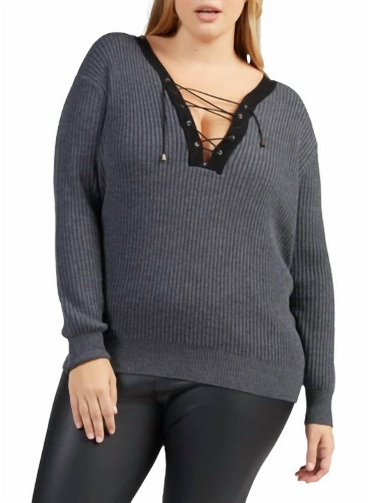 Tart Collections - Amity Plus Sweater