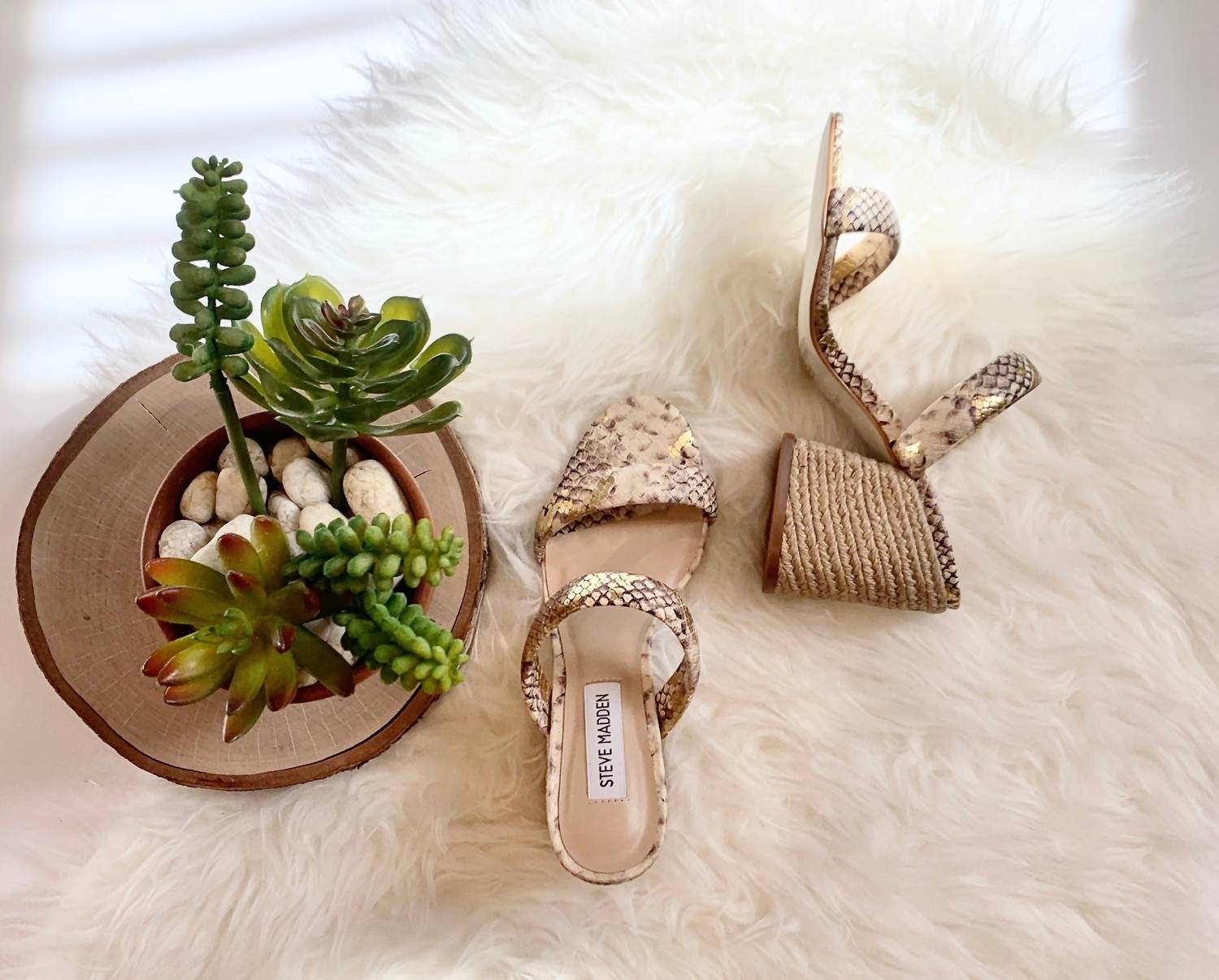 STEVE MADDEN Women's 2 Strap Block Heel Sandal in snake - women's sandal - view 5