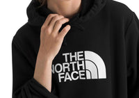 The North Face - Evolution Half Dome Hoodie