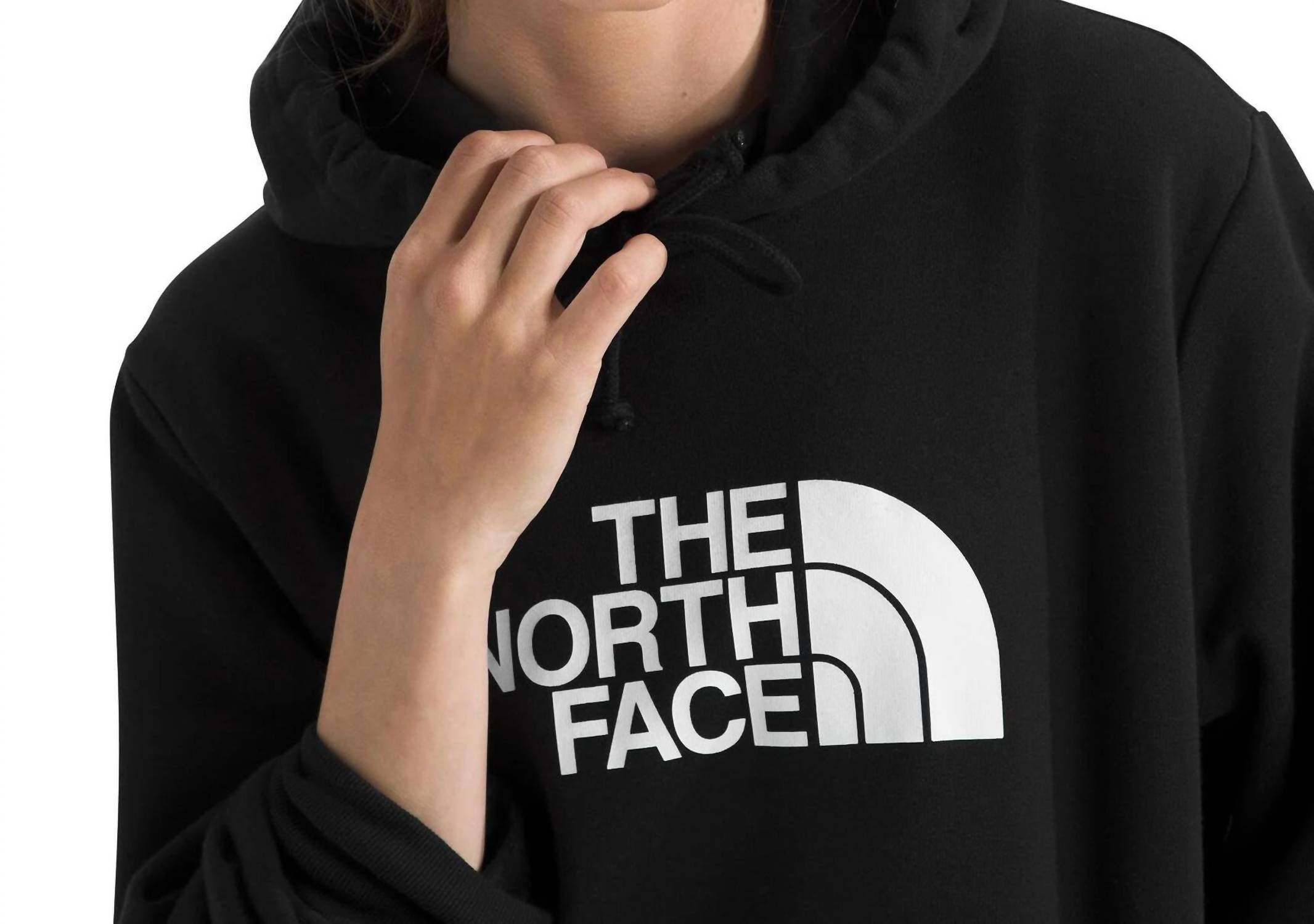 The North Face - Evolution Half Dome Hoodie