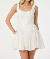 Astr - Reina Embroidered Floral Mini Dress