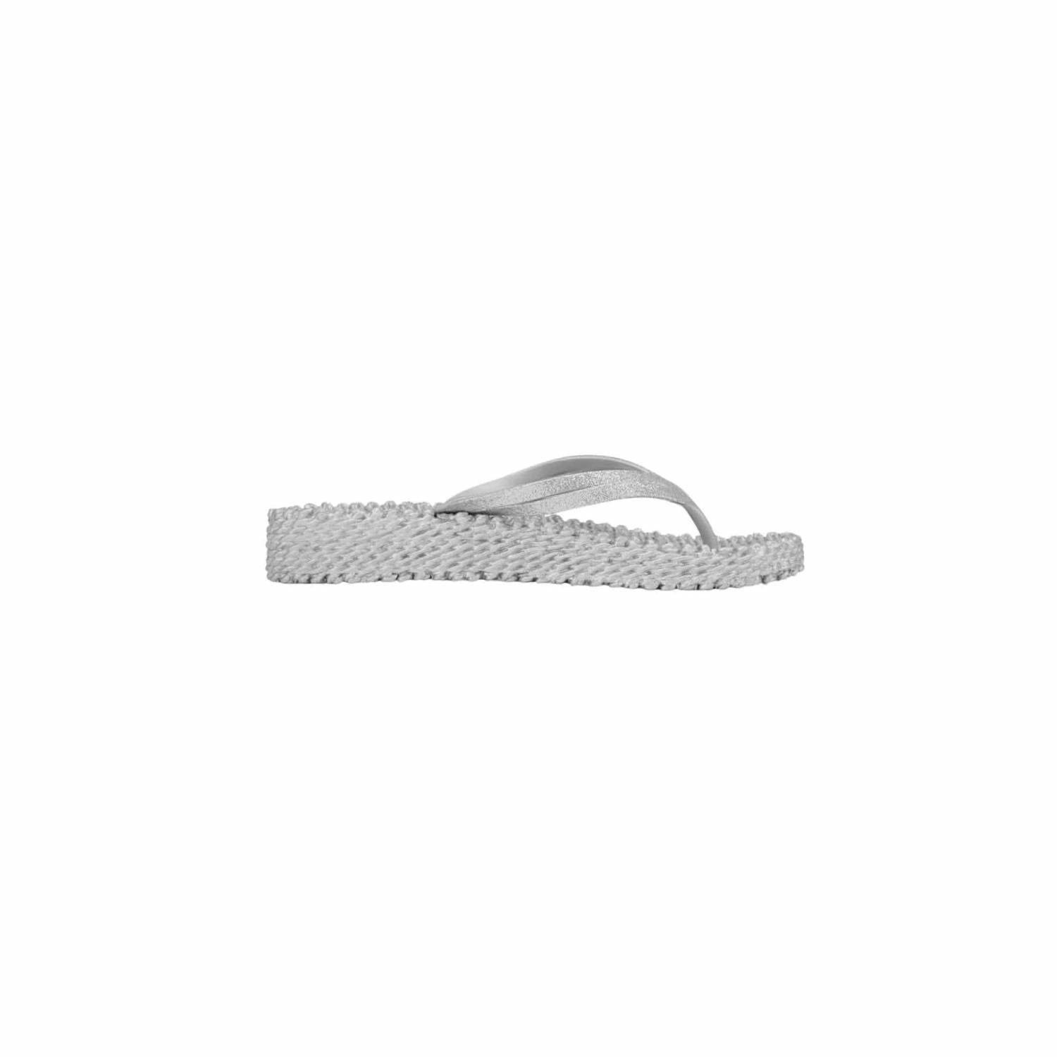 Ilse Jacobsen - Women's Cheerful Platform Flip Flops
