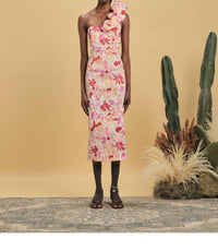 Kika Vargas - Lucy Dress
