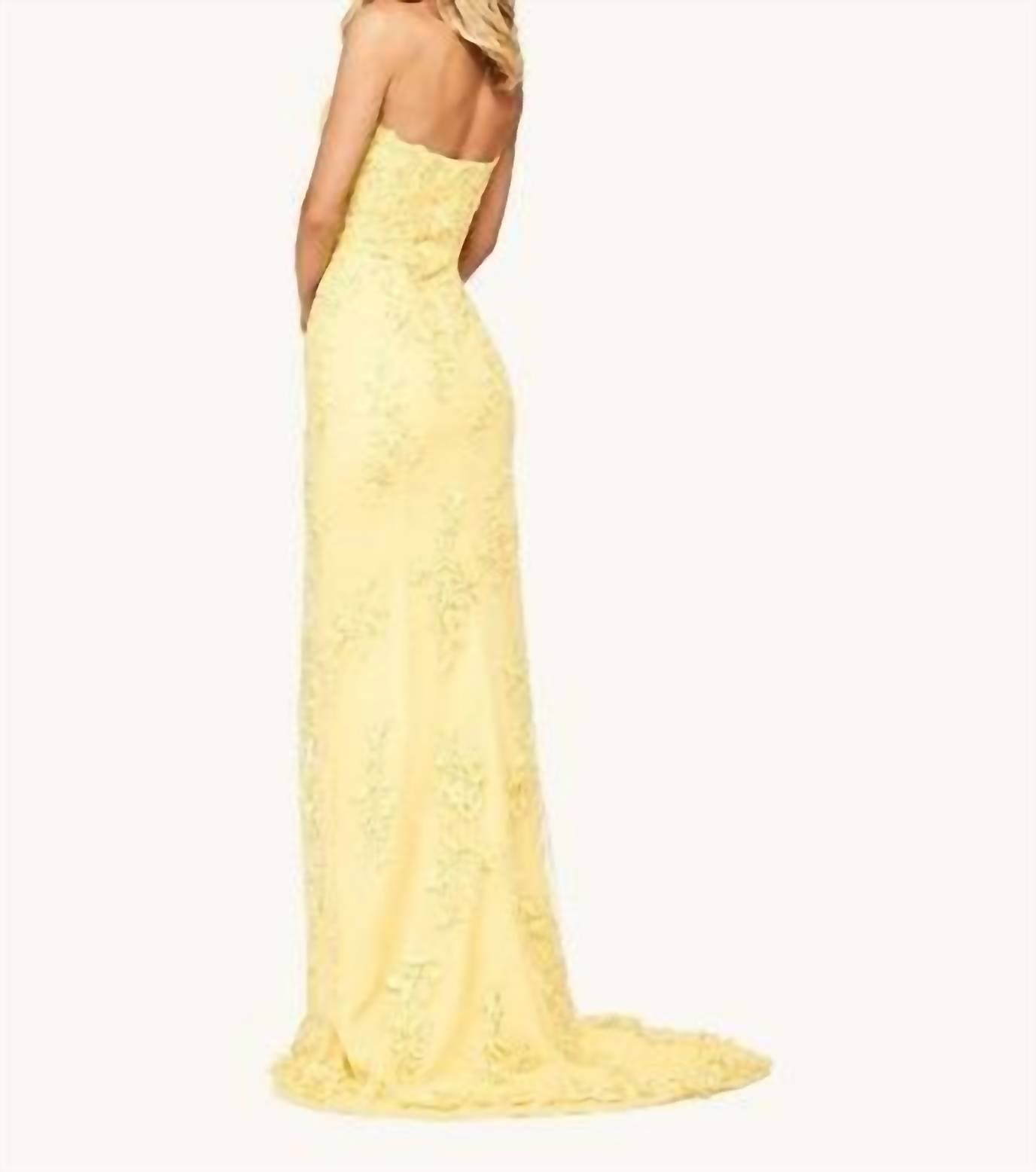 Sherri Hill - Embroidered Lace High-low Gown