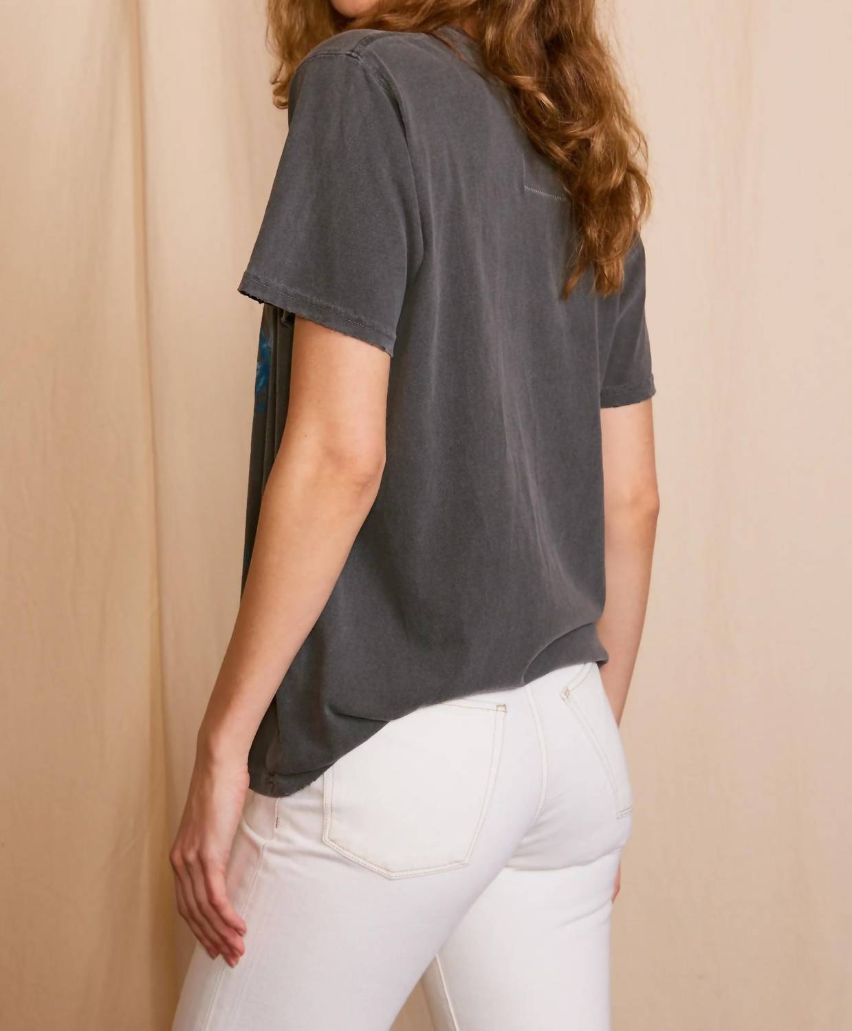People Of Leisure - Led Zeppelin Inglewood Sunkissed Gray Tee