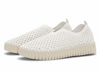Ilse Jacobsen - Women's Tulip Shoe