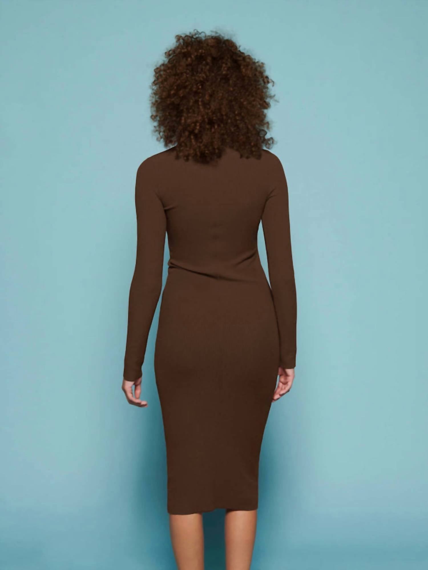 Nation Ltd - Phoebe Turtleneck Dress