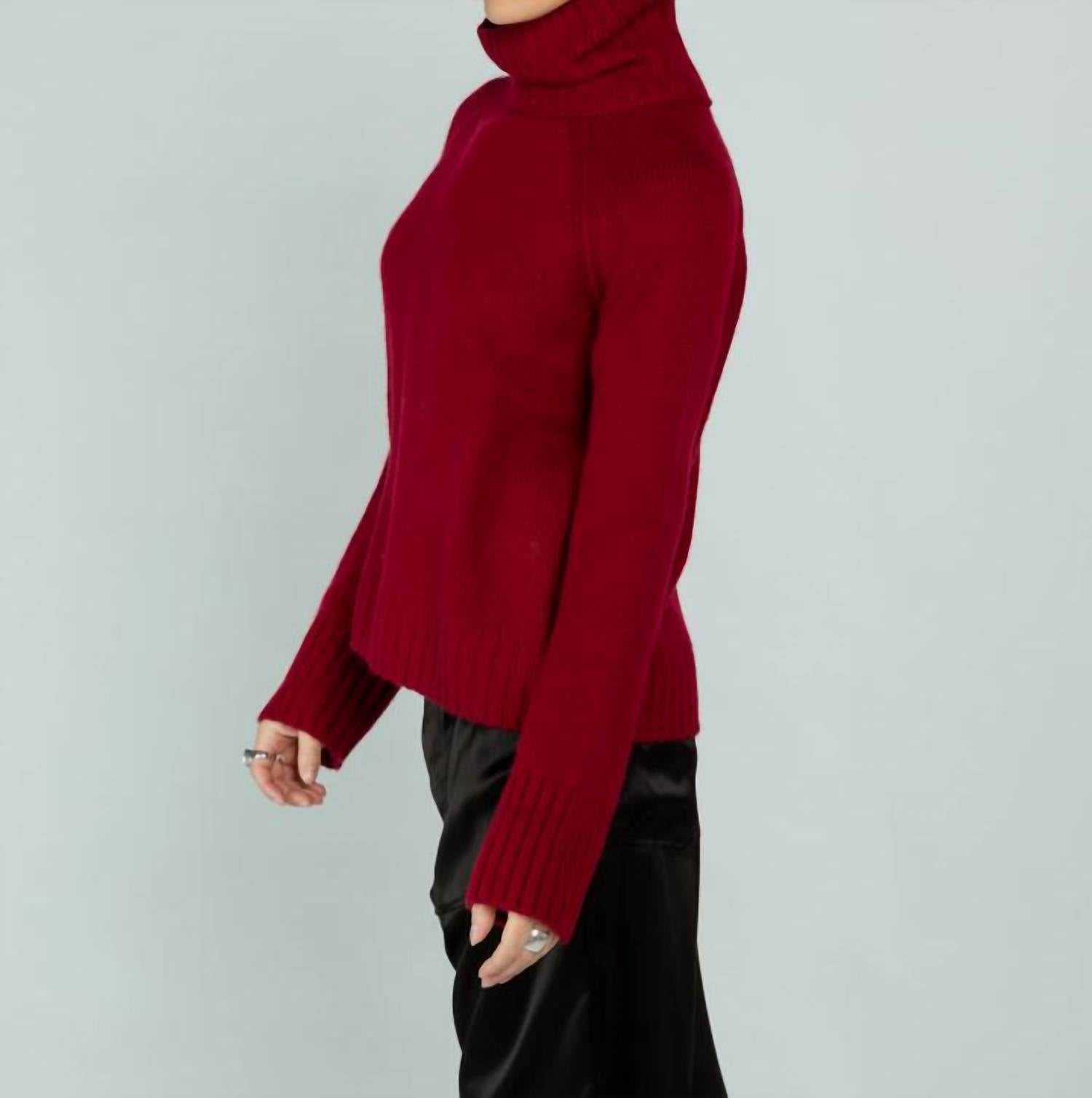 Brazeau Tricot - Cashmere Chunky Turtleneck Sweater