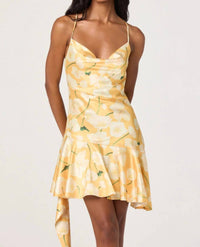 Astr - Paloma Mini Dress